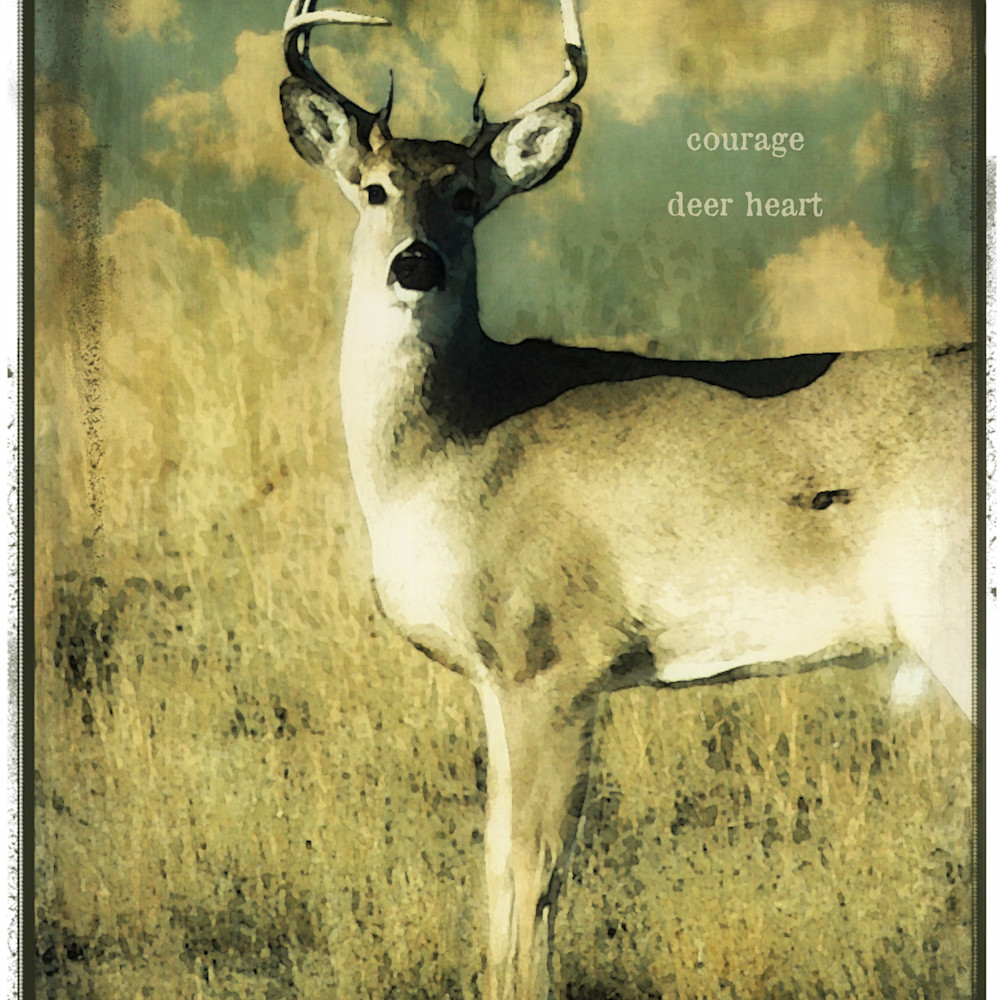 Buck courage deer heart p1zzut