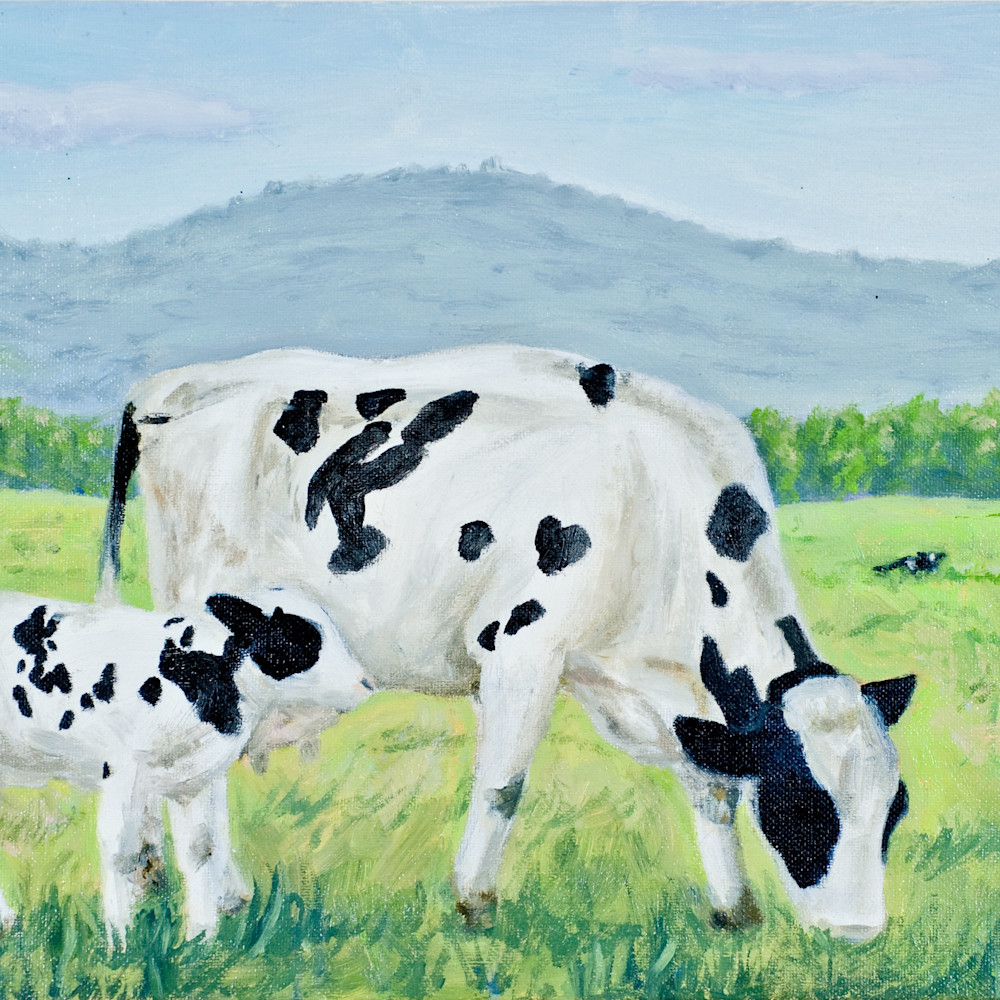 Elizabeth cleary   vermont cows oeqcay