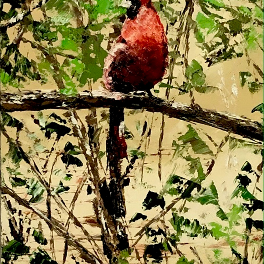 Cardinal bird jzdjrr