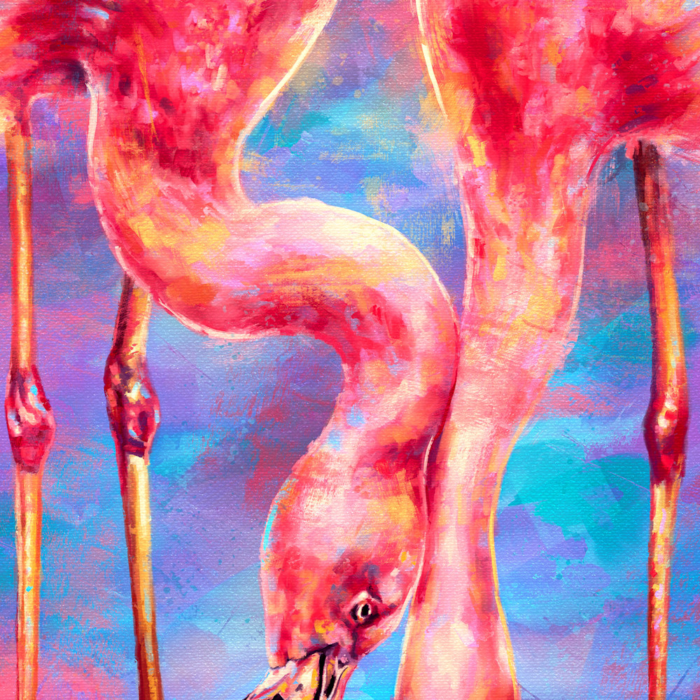 Flamingos idv2ms