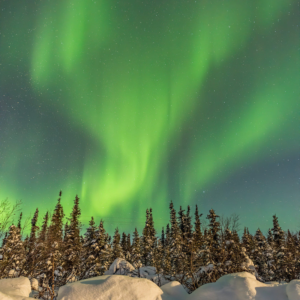 Aurora borealis fairbanks alaska feb 2022 dsc 1614 ocph89