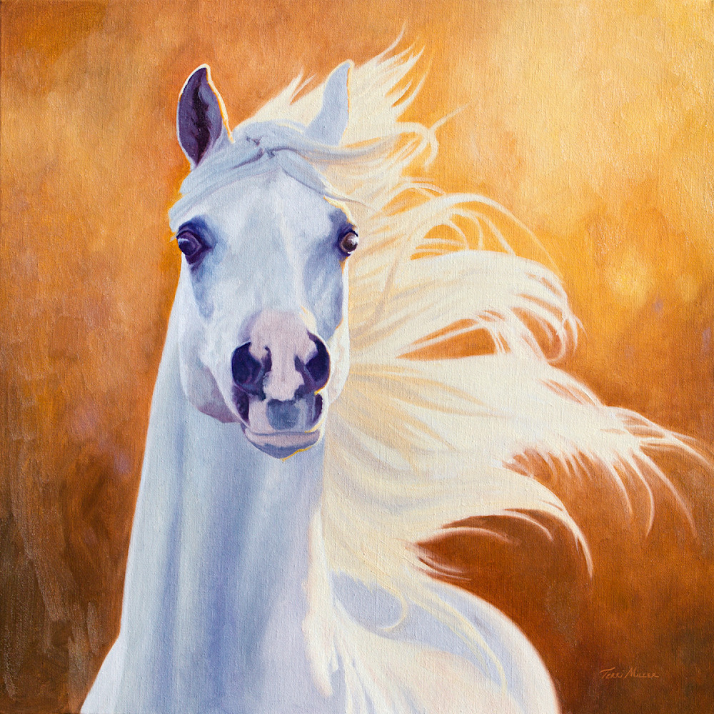 White stallion released x5xtzm