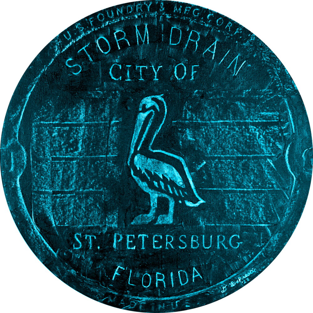 St pete pelican colors blue ystzsm