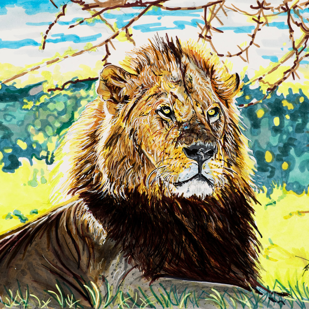 The lion king xsi3qm