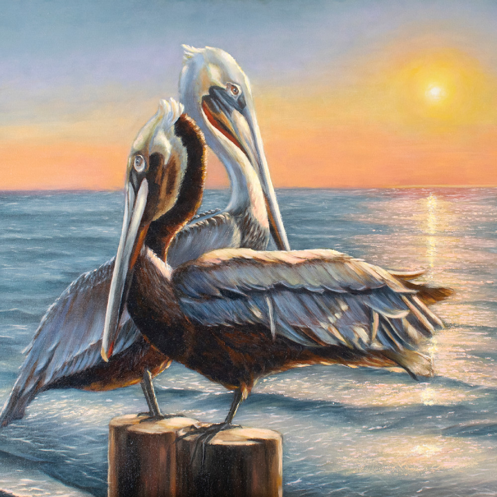 Mariya tumanova   pelicans print lx5qkb