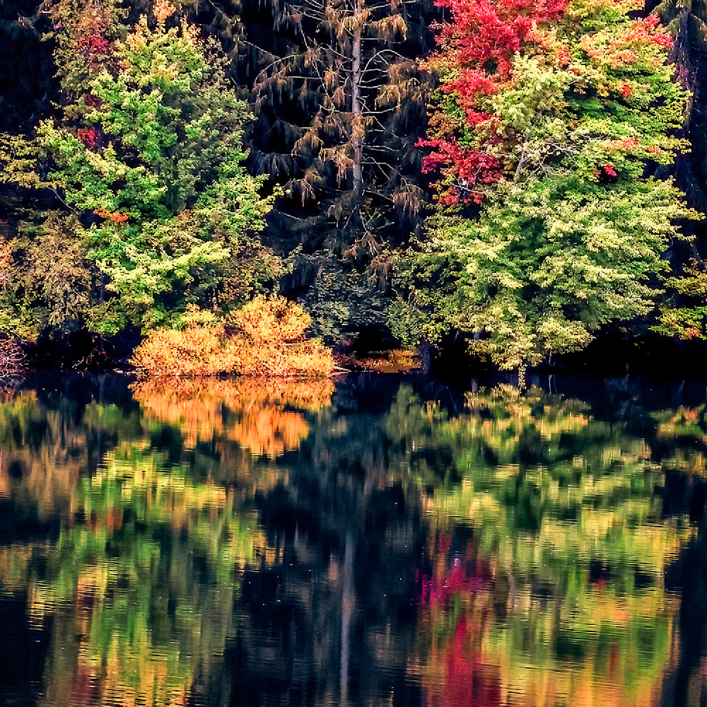Autumn reflections card new hszeyp