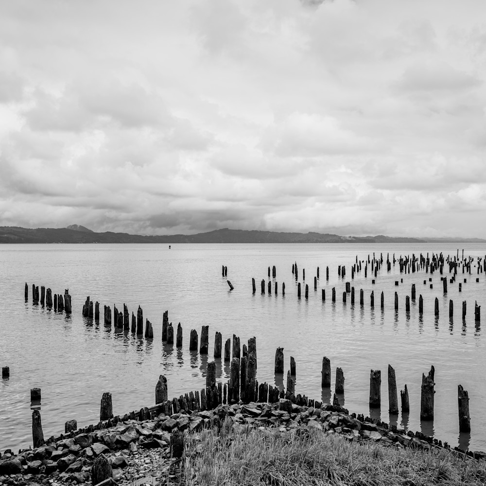 Old pilings on the columbia river astoria oregon 2022 nw2ud9