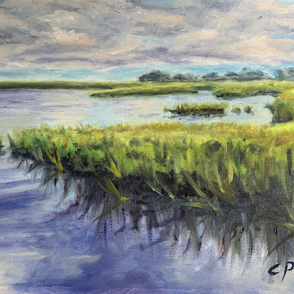 Calming marsh bgubgy