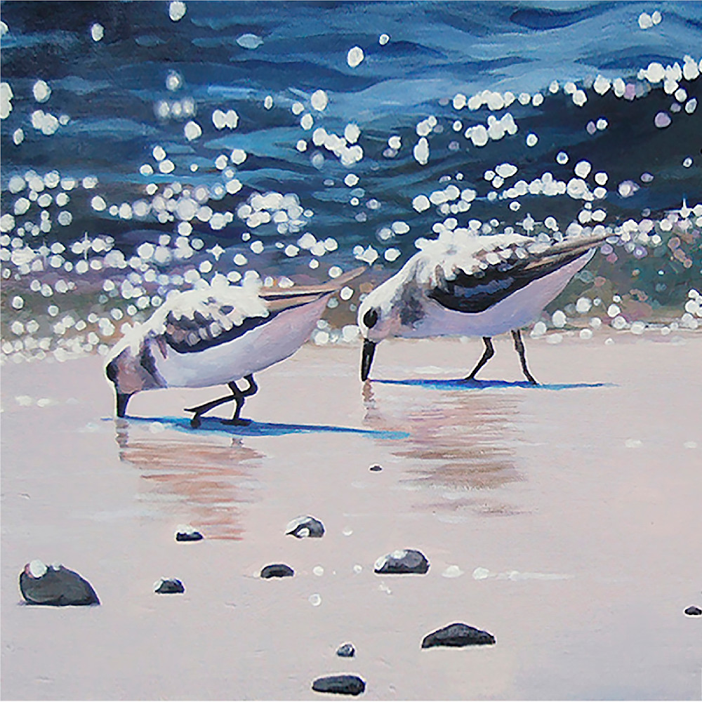 Surf sanderlings.tote ycypn2