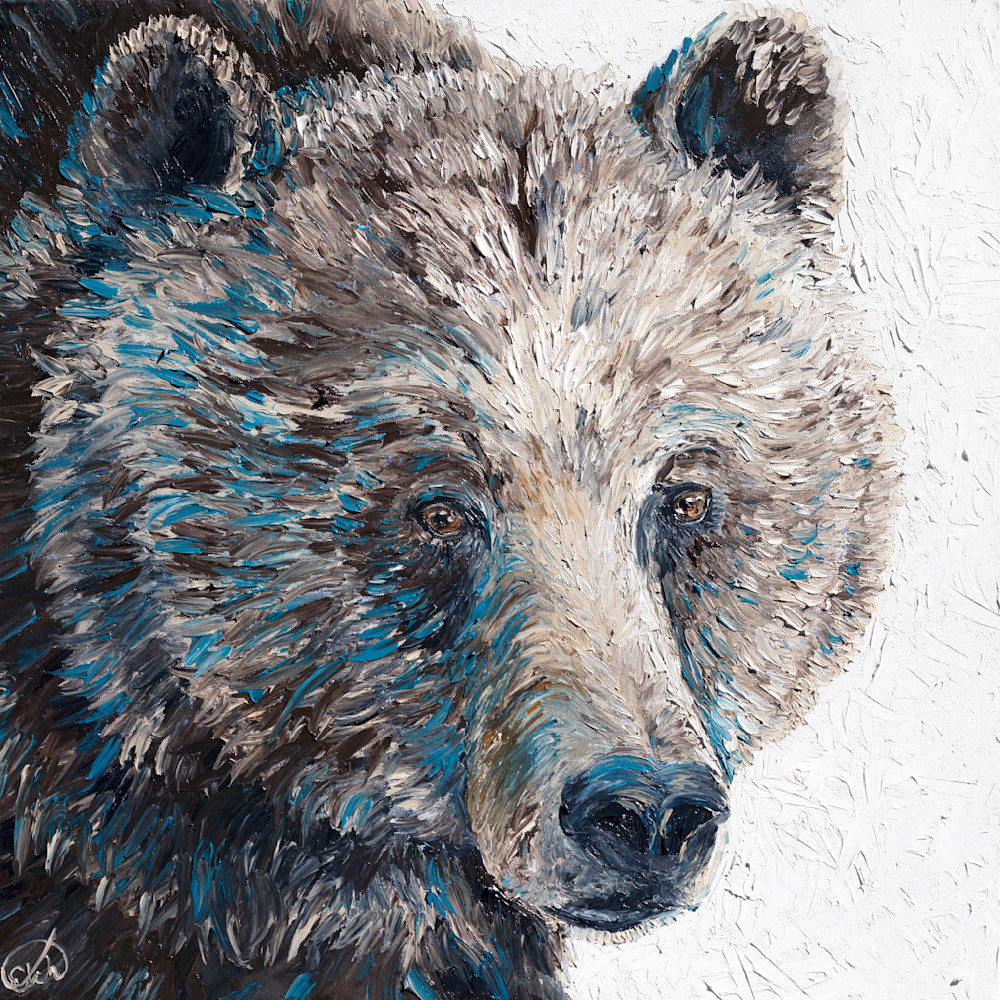 Portrait of a grizzly bear db798s