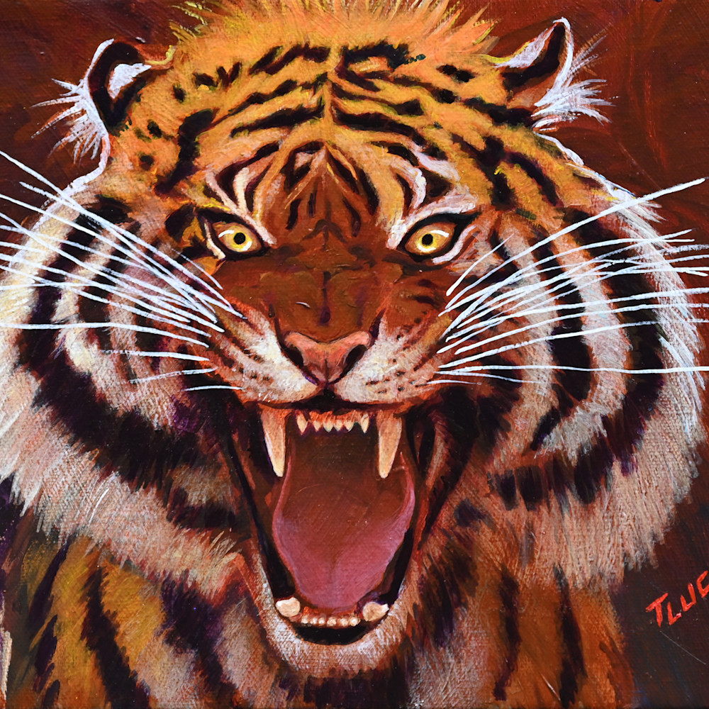 Tiger tluc101222 umlgrc
