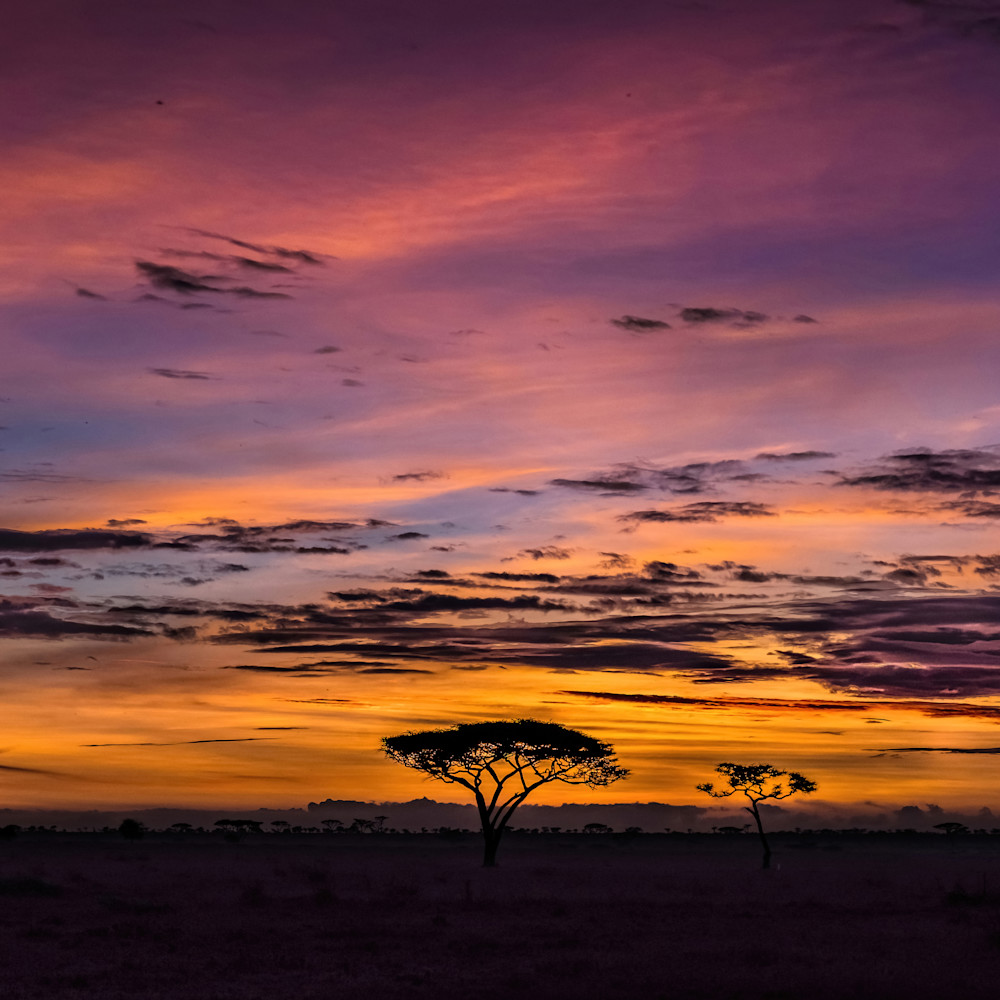 Serengeti sunrise bgwijh