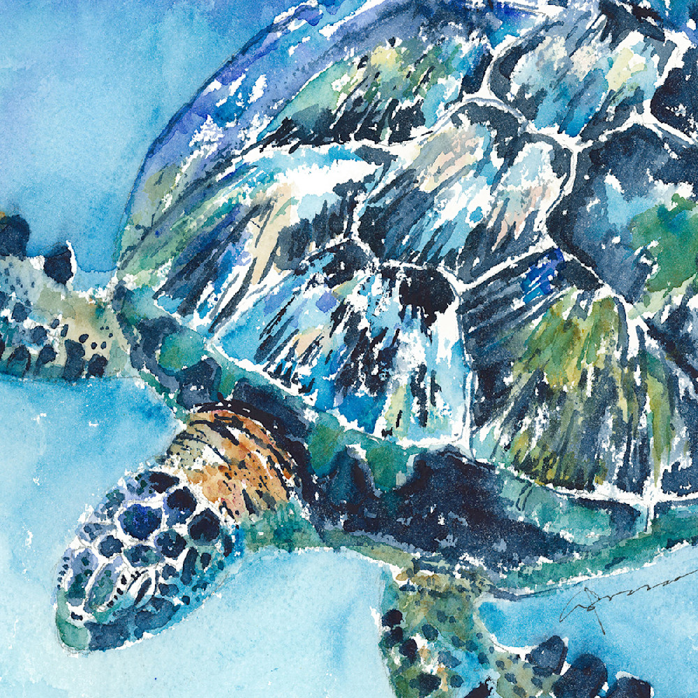 Sea turtle 21 oftnnd