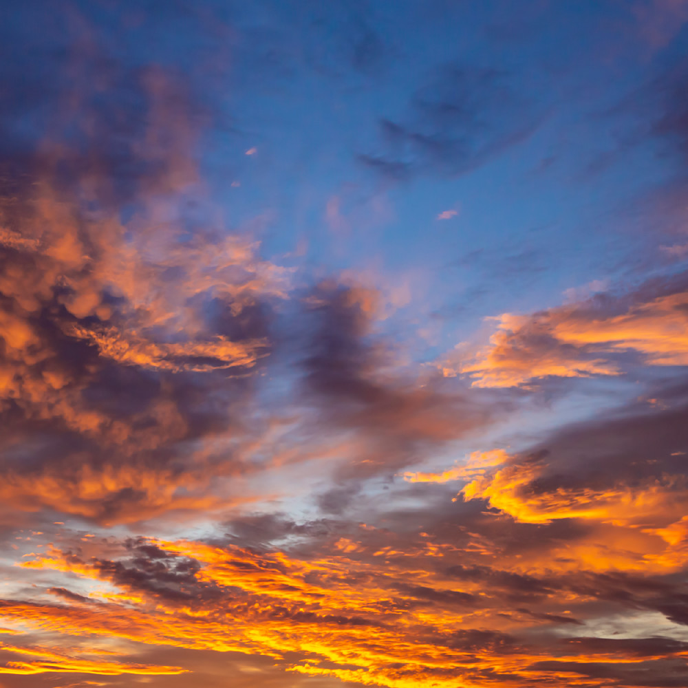 Arizona sunrise silhouette iz9qnx