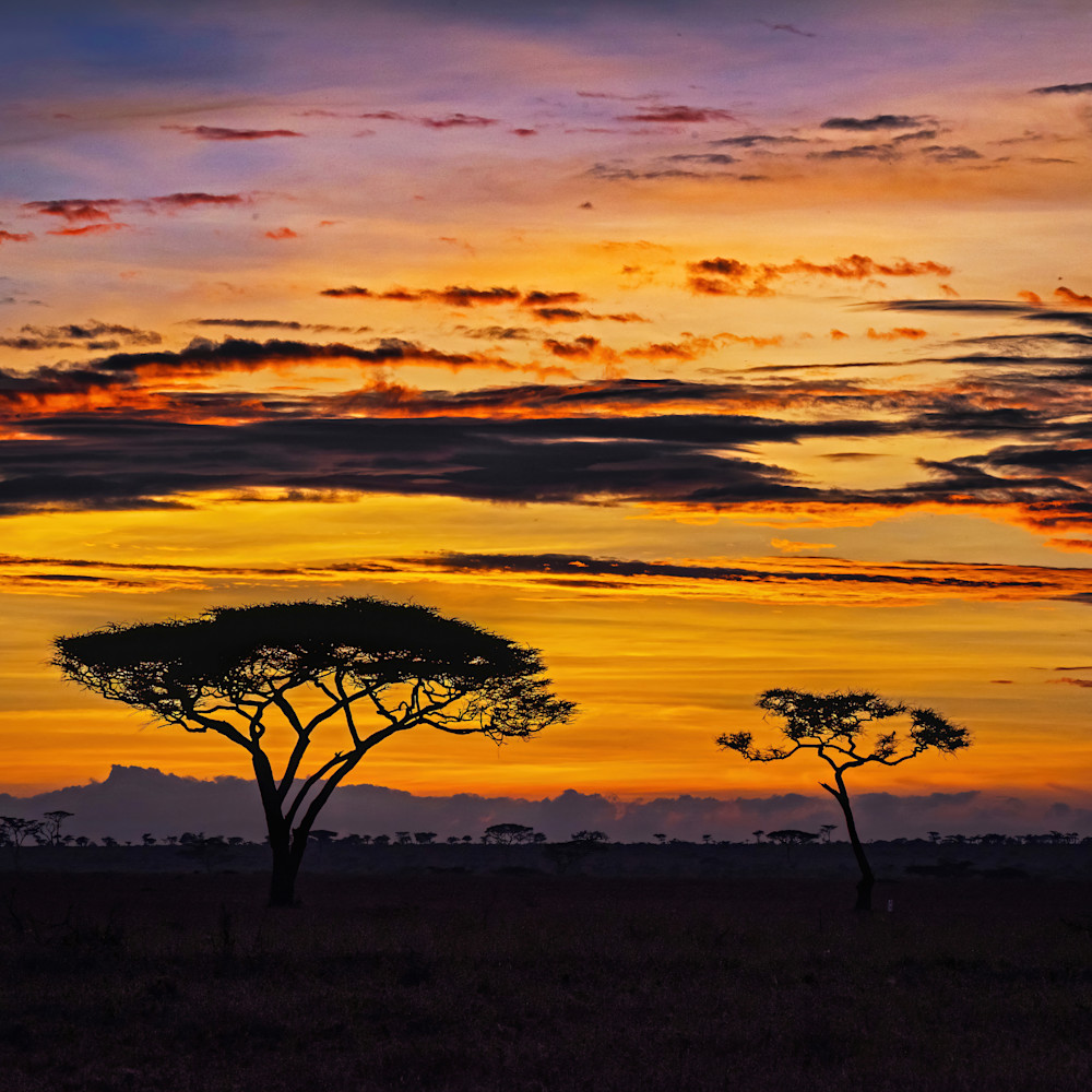Serengeti sunrise kmvo8j