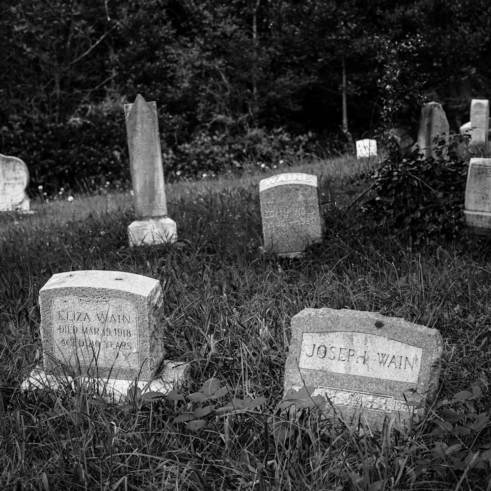 Pioneer cemetery of bay center study 12 washington 2022 zwsljp