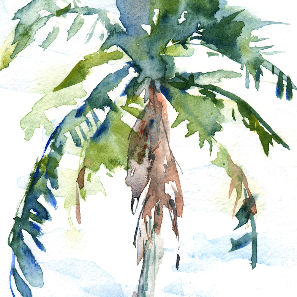 Palm tree 1 vwovos