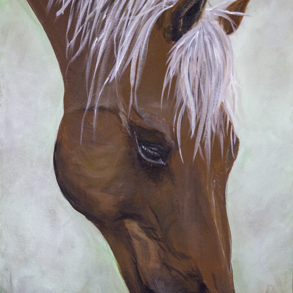 Horse acrylic akuegr