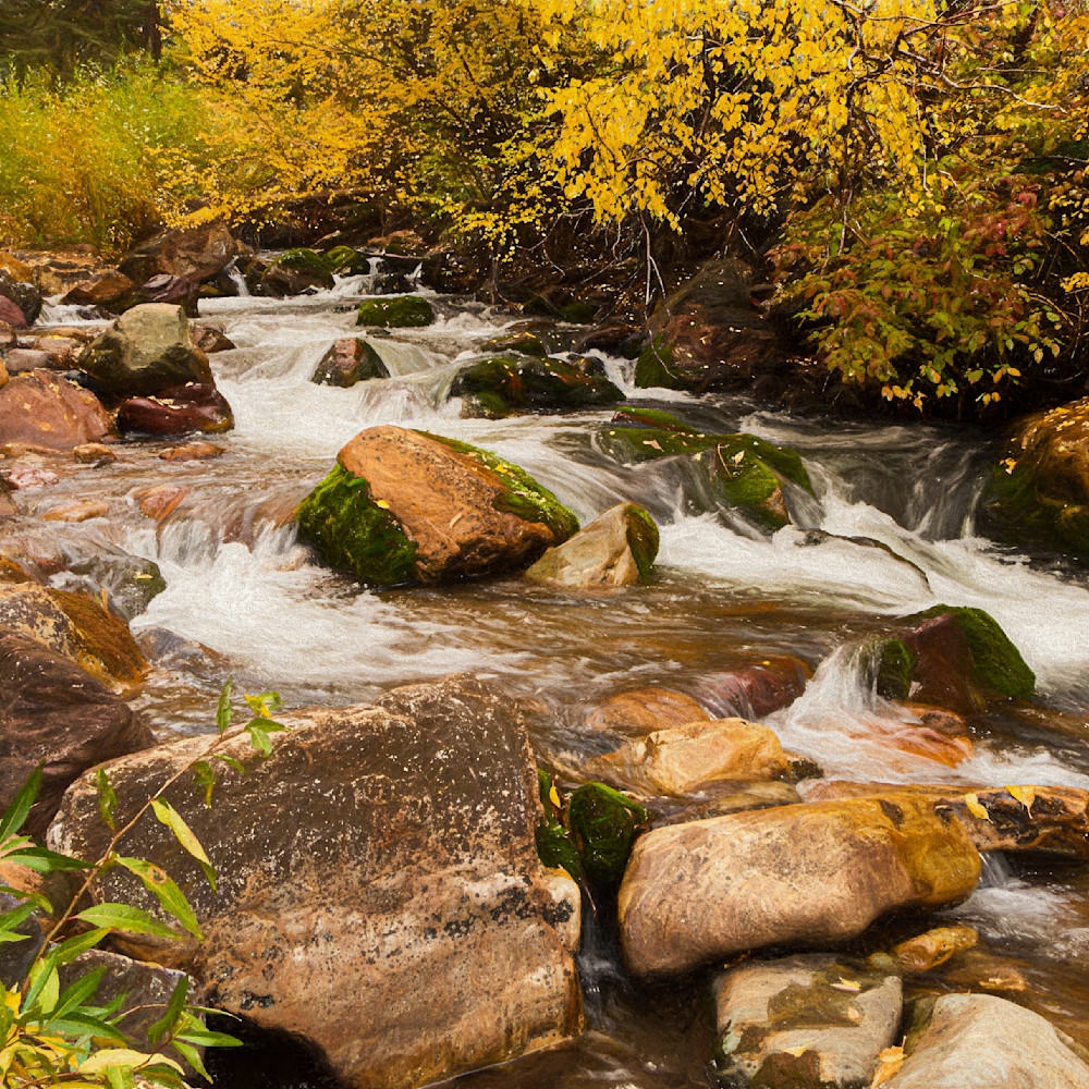 Autumn on the creek gnt21a
