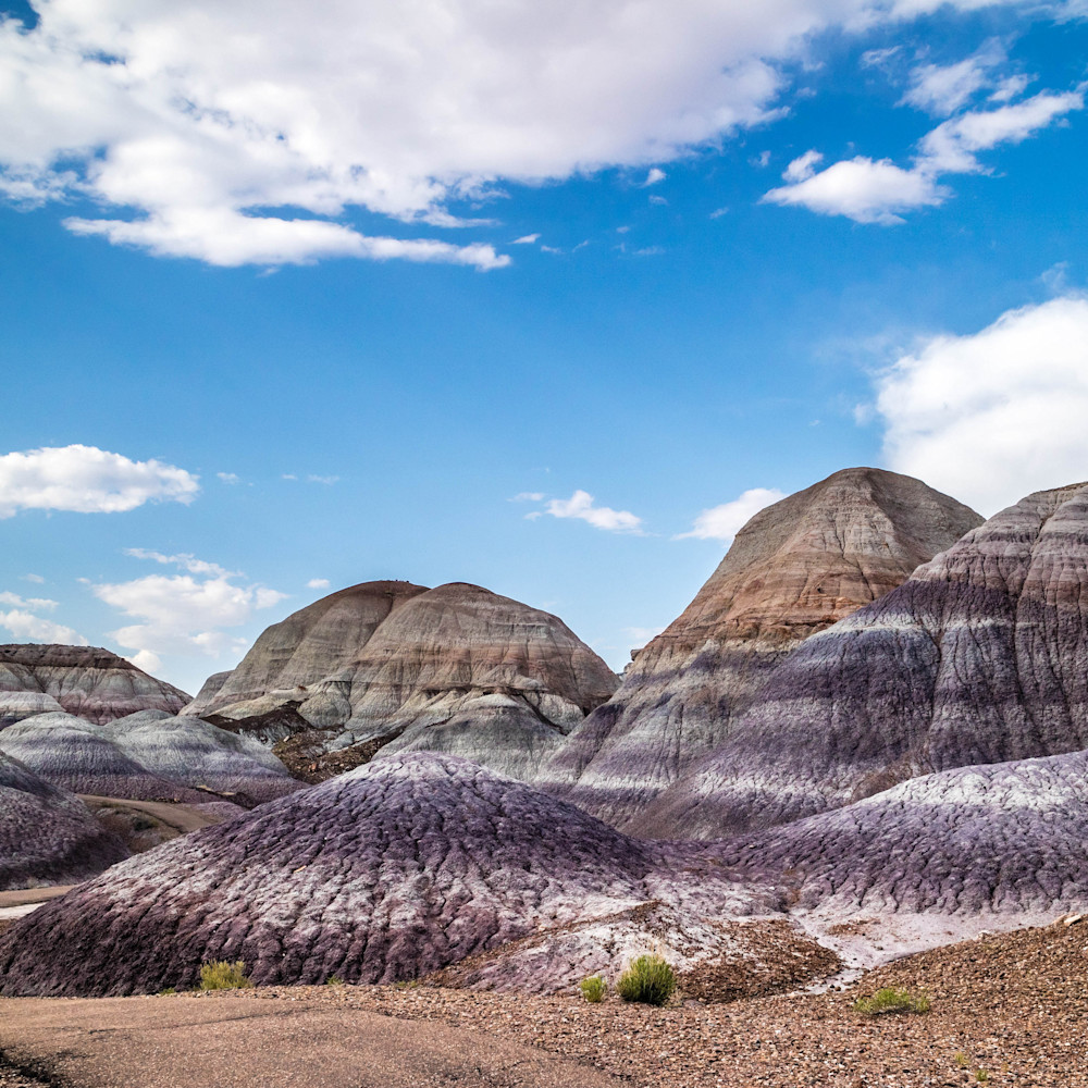 The blue mesa trail in petrified forest national park arizona blim76