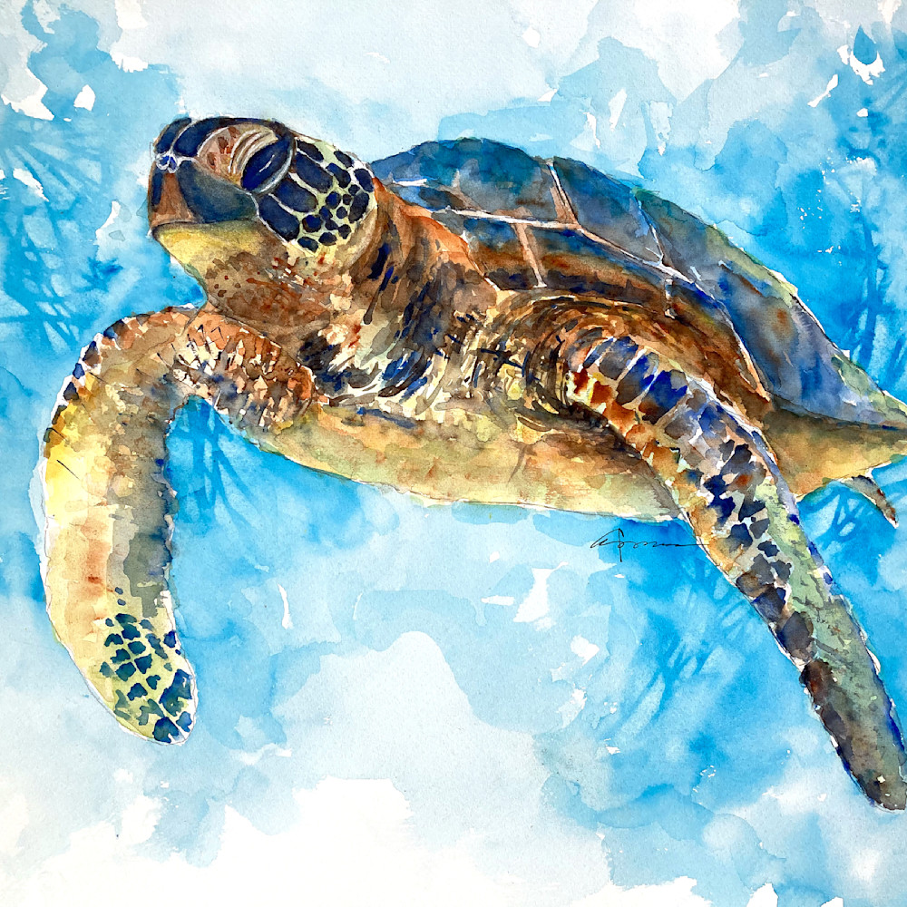 Sea turtle 33 hiqwtp