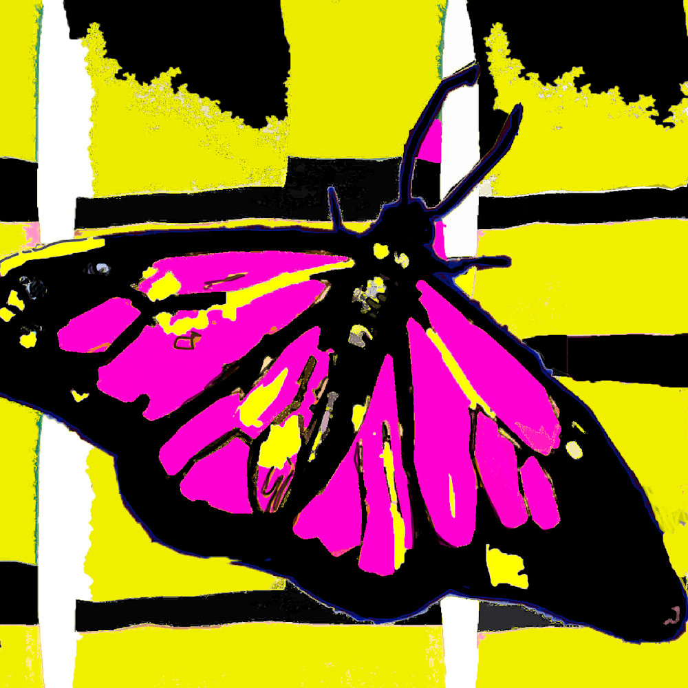 Butterfly in pink yellow tyapxw