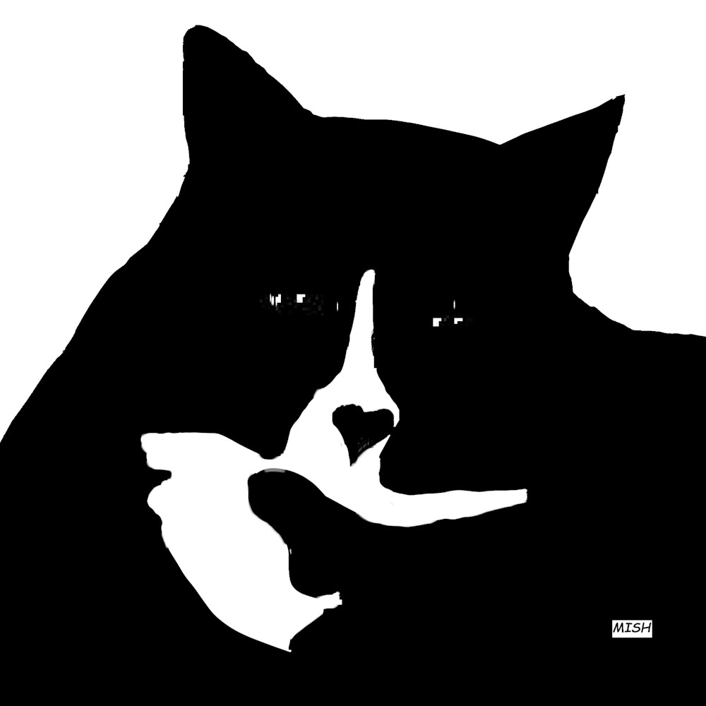 Cool cat black and white no1jwg