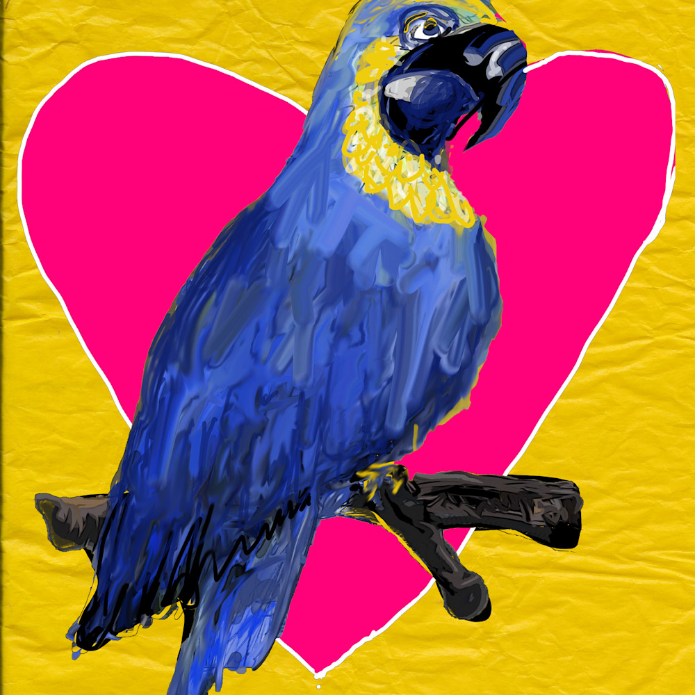 Macaw ft4xur