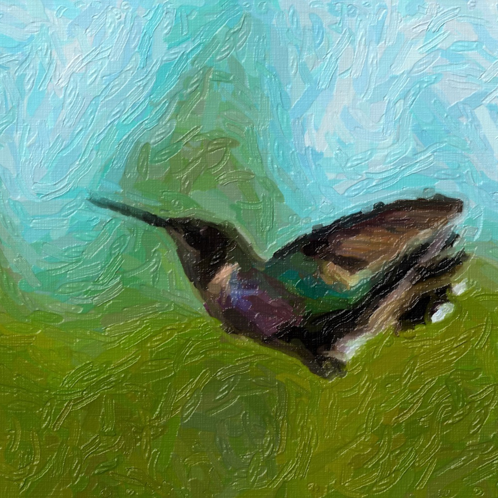 Humingbird paint vr8wn7