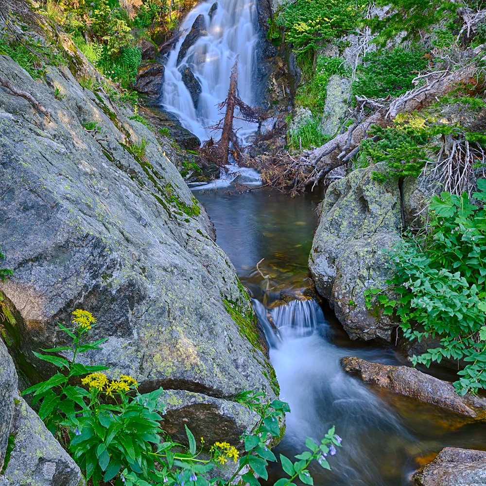 Waterfall with arrowleaf ragwort x6mova