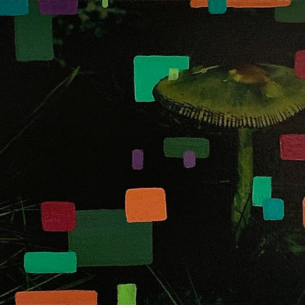 Mushroom walk painting 6 wkkkdf