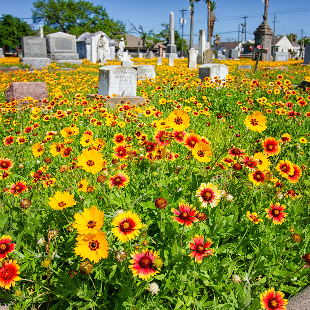 Galveston broadway cemetery llwkoq