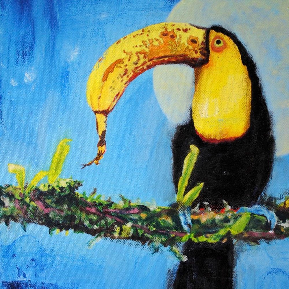 Toucan with banana beak qojtbf