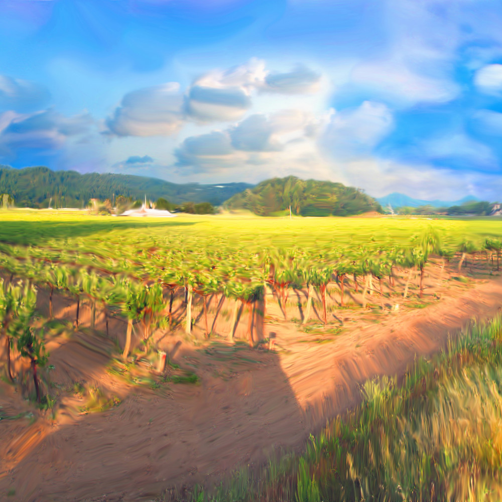 Calistoga vineyard x3fygp