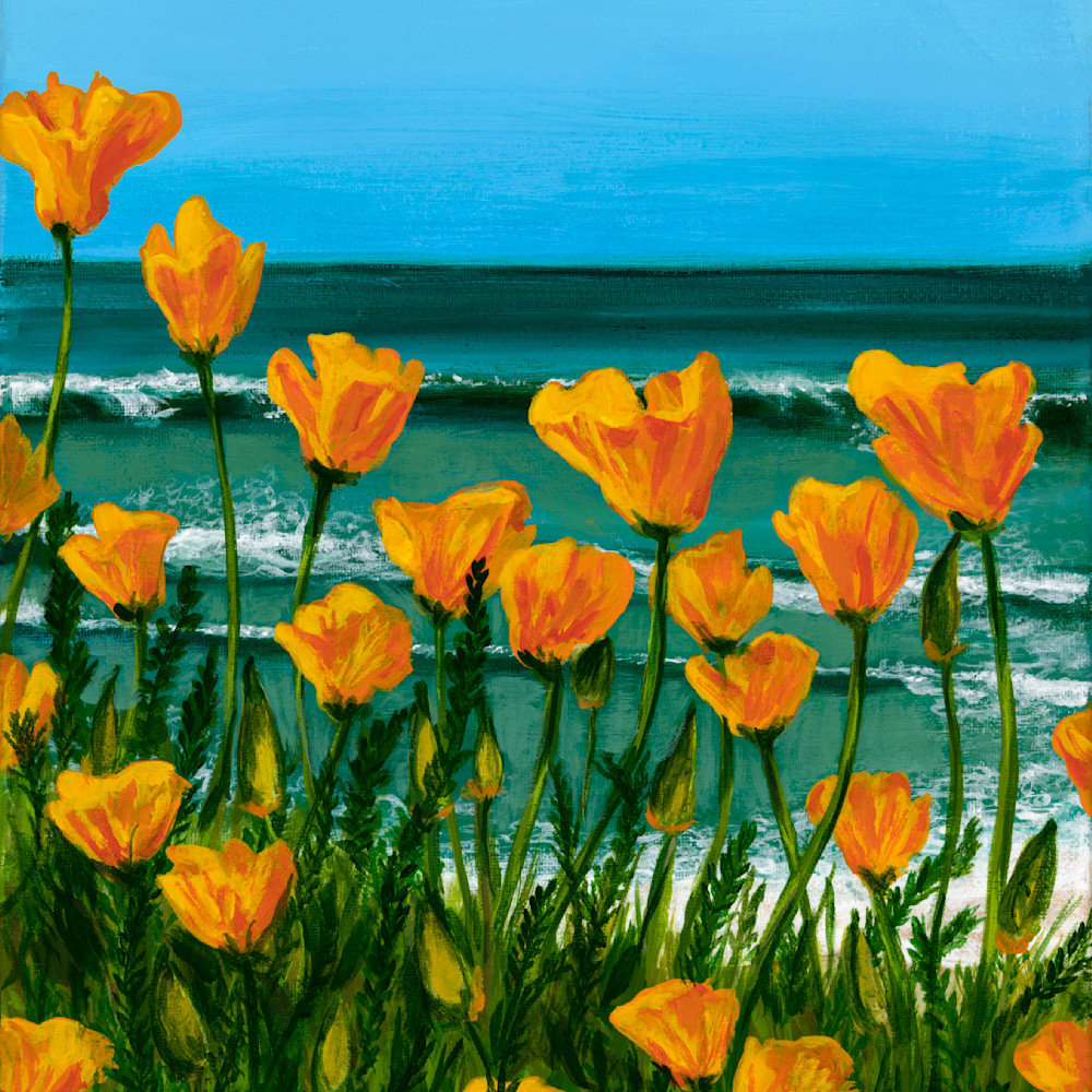 Poppies by the sea katrsf