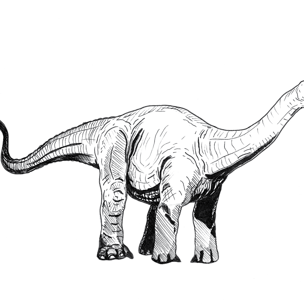Brachiosaurus psvjrp