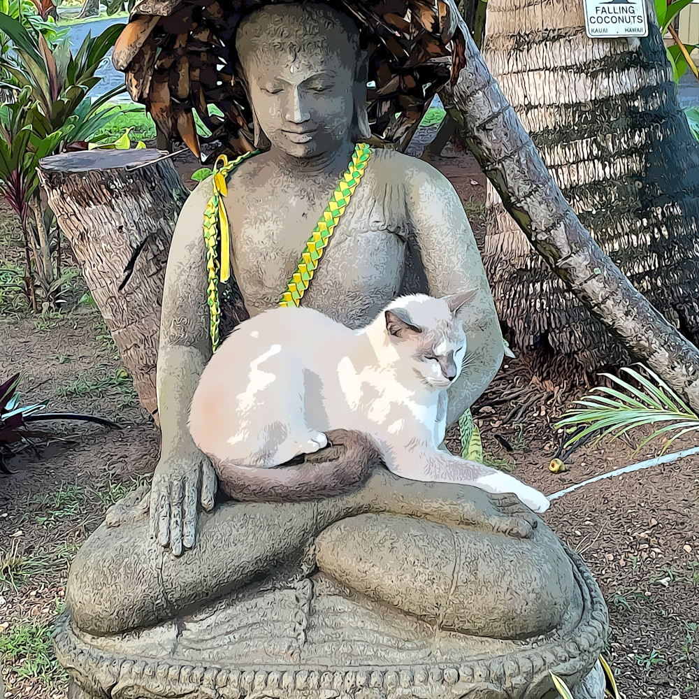 Cat on buddha paint fepvit