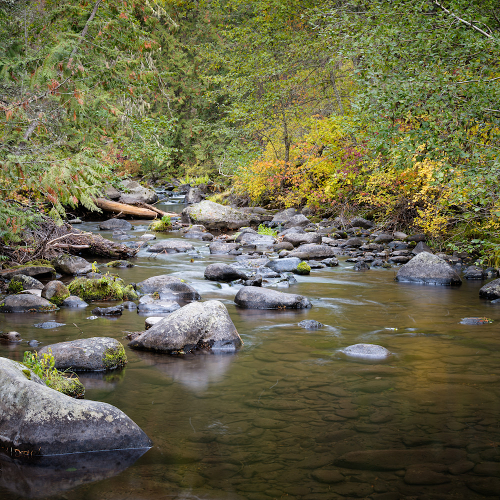 Autumn along badger creek mt hood national forest oregon 2022 xu5kbg