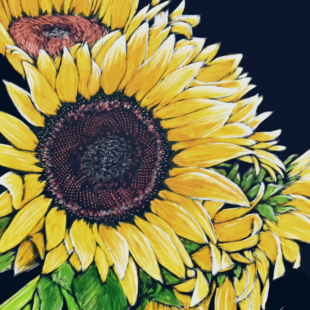 Flowers sunflower fgifk3