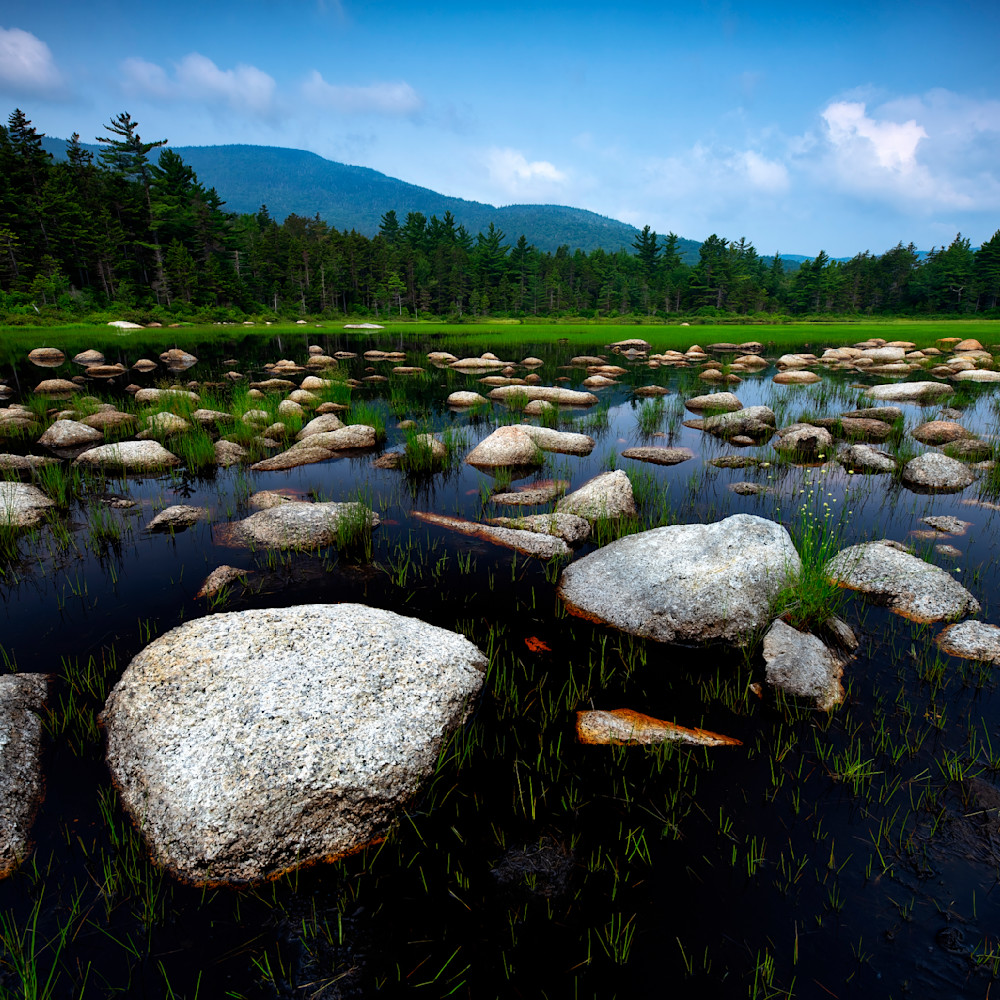 Andy crawford photography lily pond stones wdttdu
