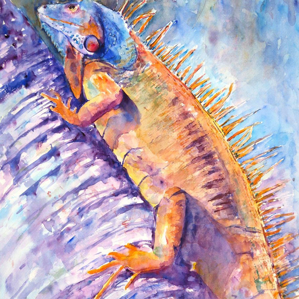 Iguana in velvet hues m4alc7