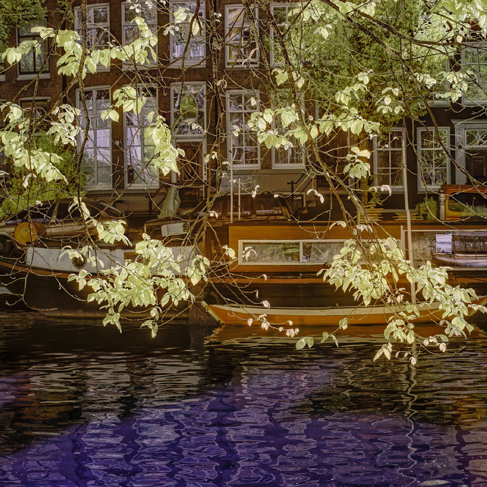 Canal leaves.boat large uyjhdp
