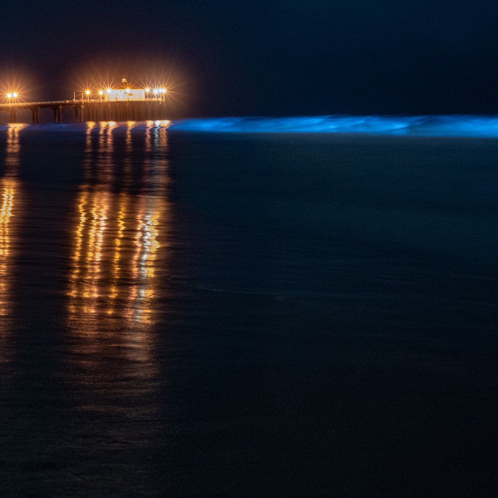 Bioluminescent shores vat1nt