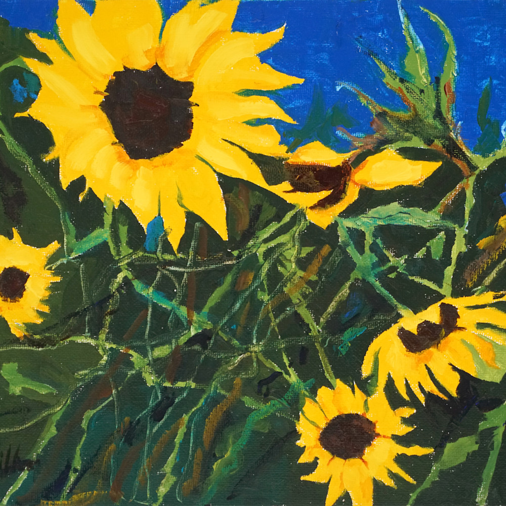 Sunflowers i oil 9x12 in. kewijd
