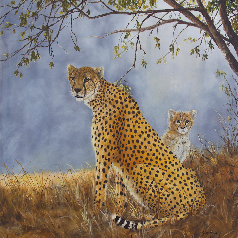 Cheetah with cub w0xziq