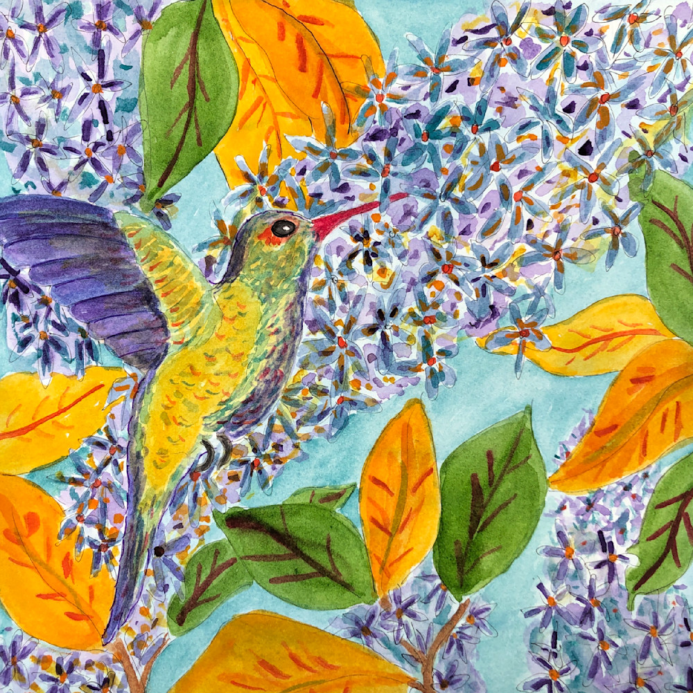 Hummingbirds blue qbdku8