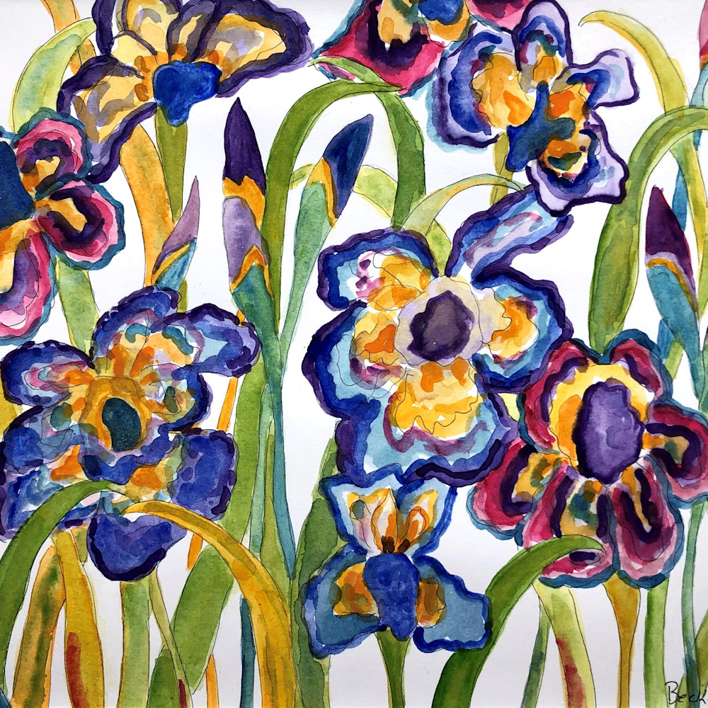 Blue iris 11 x 14 oztbc1