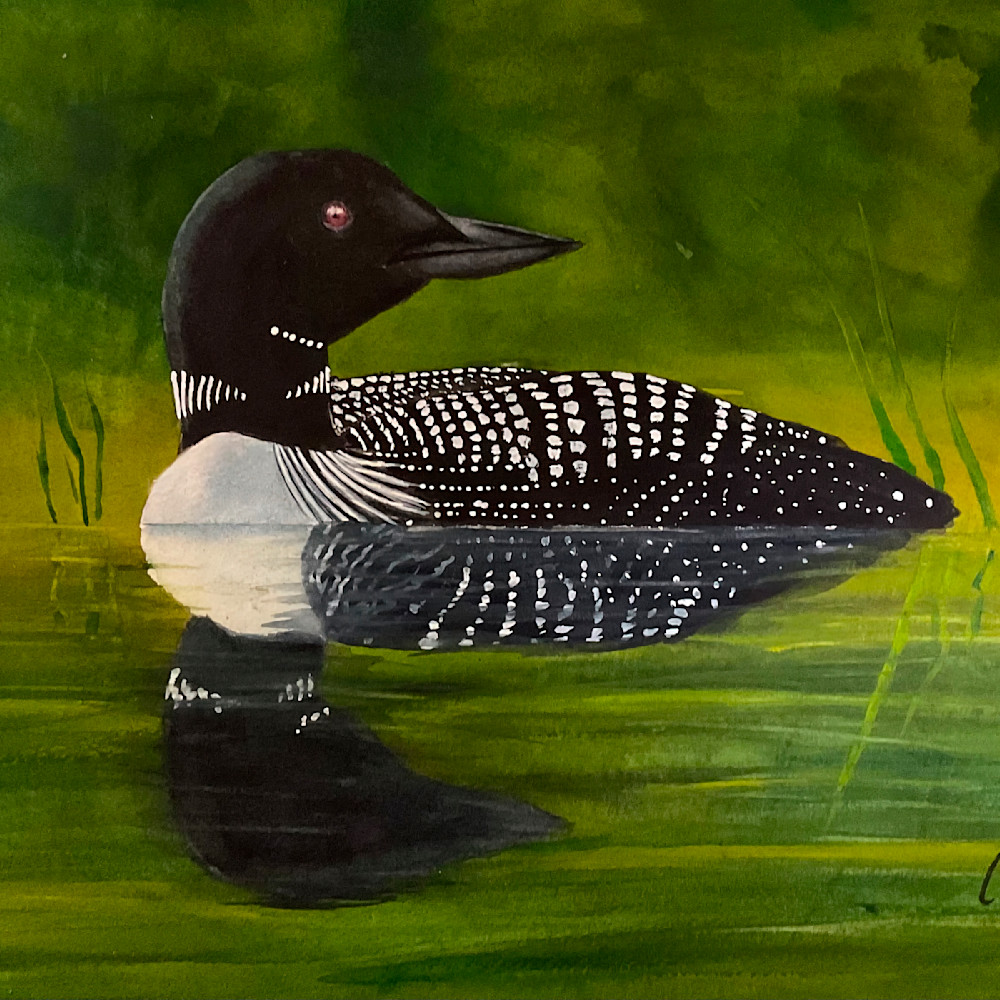 Loon in summer 16x20 wlunjs