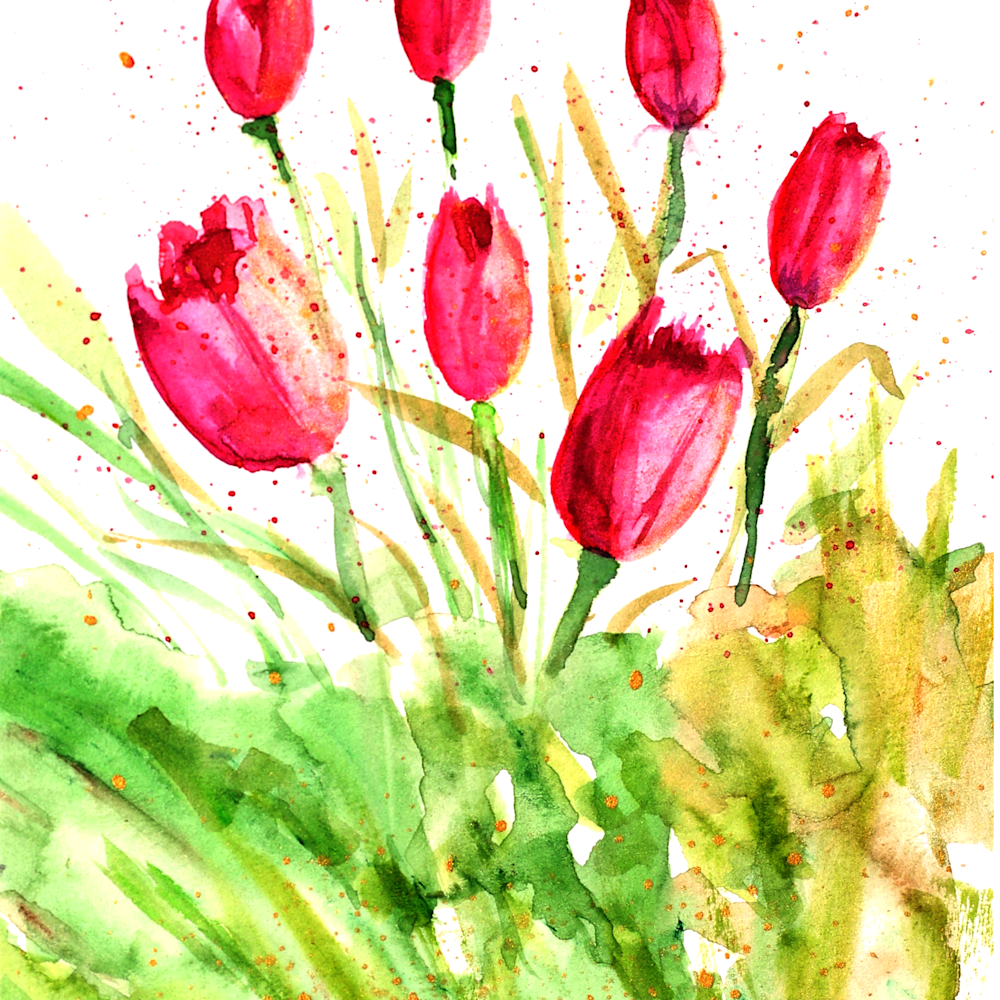 2023 01 23 valentine tulips card high res png clean background amlmhg