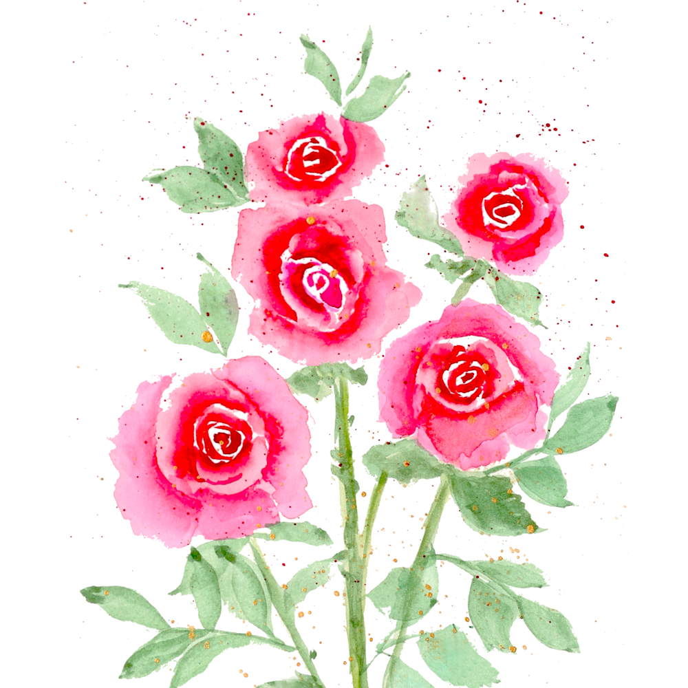 2023 01 28 valentine roses high res png wdqky4